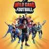 Wild Card Football - Deluxe Edition Xbox (US) -Ubisoft || Electronic Arts || Activision Sales 2023 new project 2023 08 11t172337.372 1 1 1